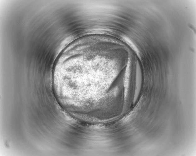 X0000093260994200710241329