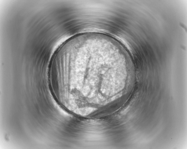 X0000093260995200710241329