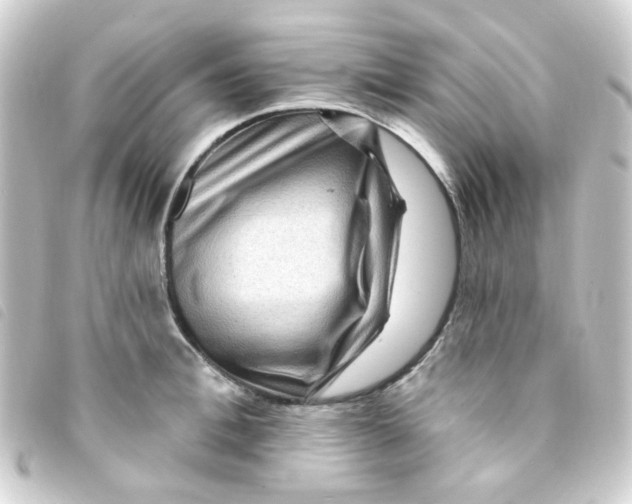 X0000093260996200710241329