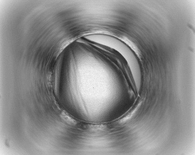 X0000093261001200710241329