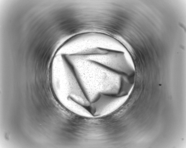 X0000093261004200710241329