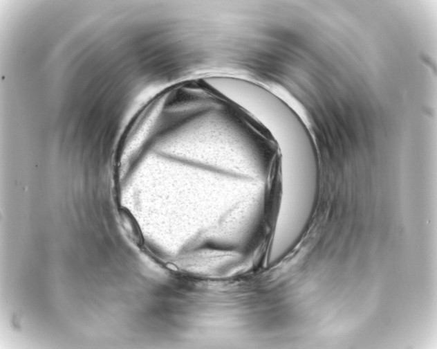 X0000093261005200710241329