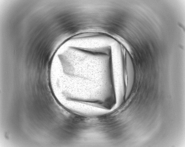 X0000093261006200710241329