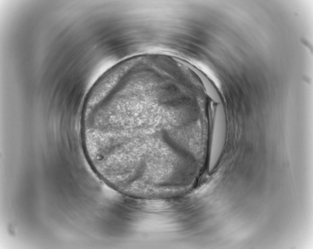 X0000093261007200710241329