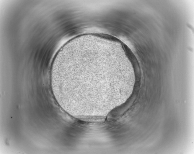 X0000093261008200710241329