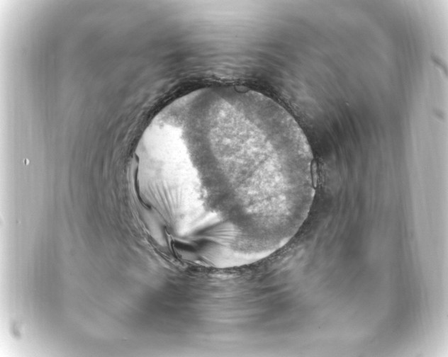 X0000093261009200710241329