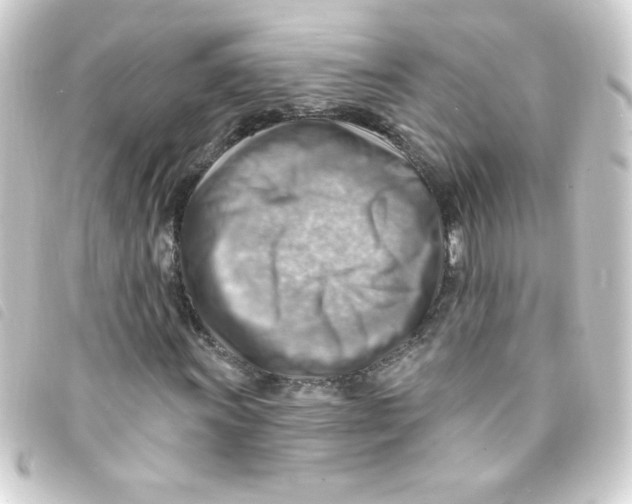 X0000093261011200710241329