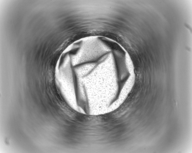 X0000093261012200710241329