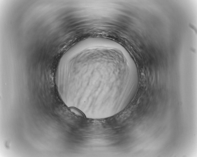 X0000093261013200710241329