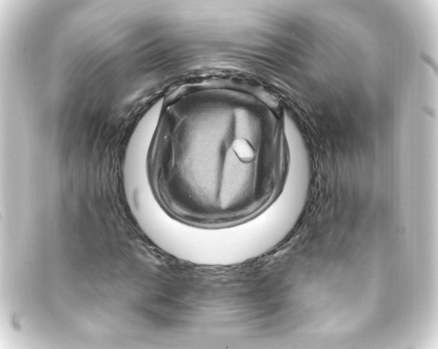 X0000093261014200710241329