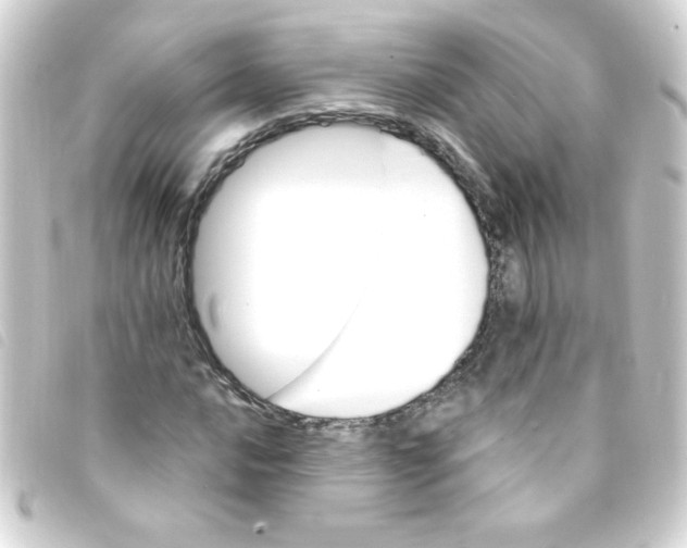 X0000093261016200710241329
