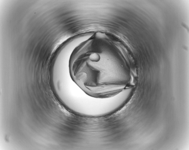 X0000093261018200710241329
