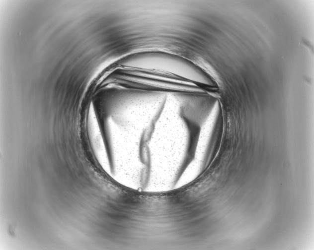 X0000093261020200710241329