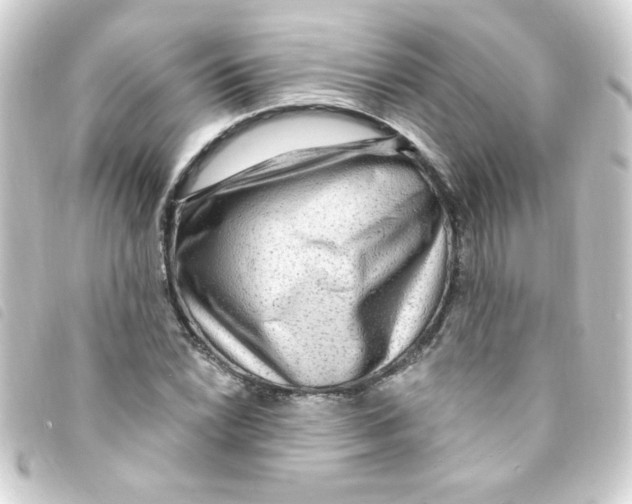 X0000093261022200710241329