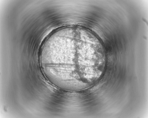 X0000093261023200710241329