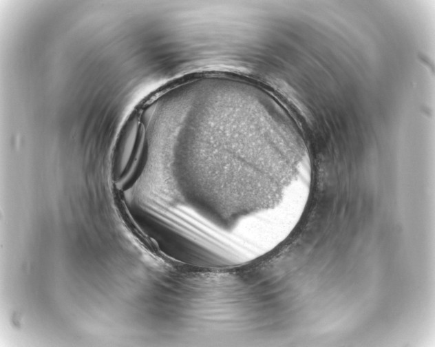 X0000093261024200710241329