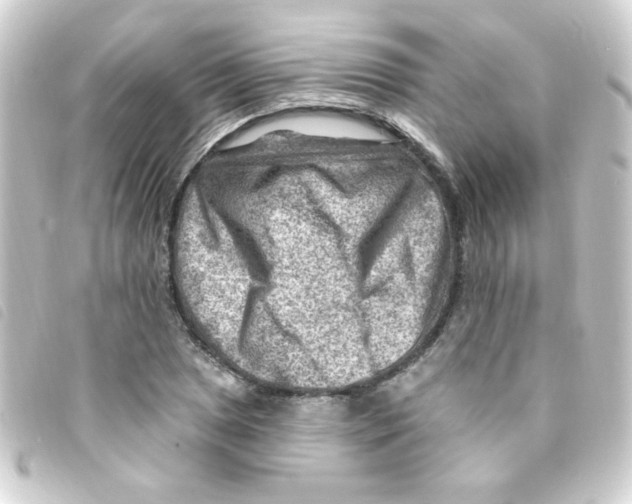 X0000093261025200710241329