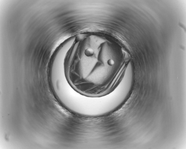 X0000093261026200710241329