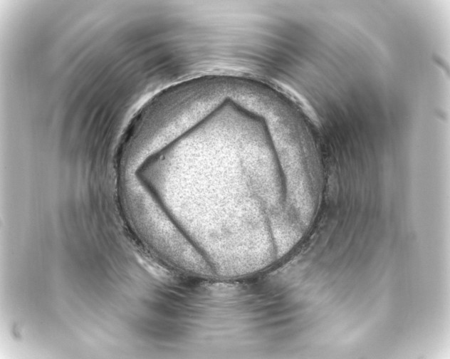 X0000093261027200710241329