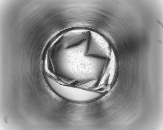 X0000093261029200710241329