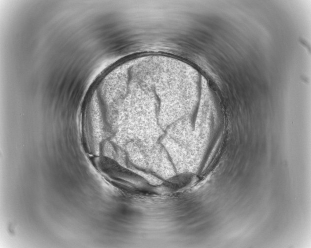 X0000093261032200710241329