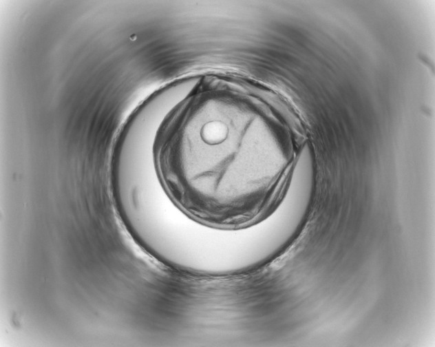 X0000093261038200710241329