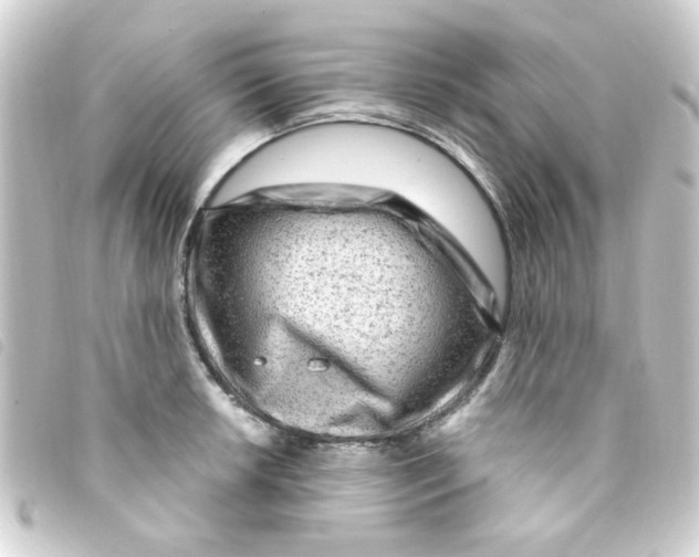 X0000093261042200710241329