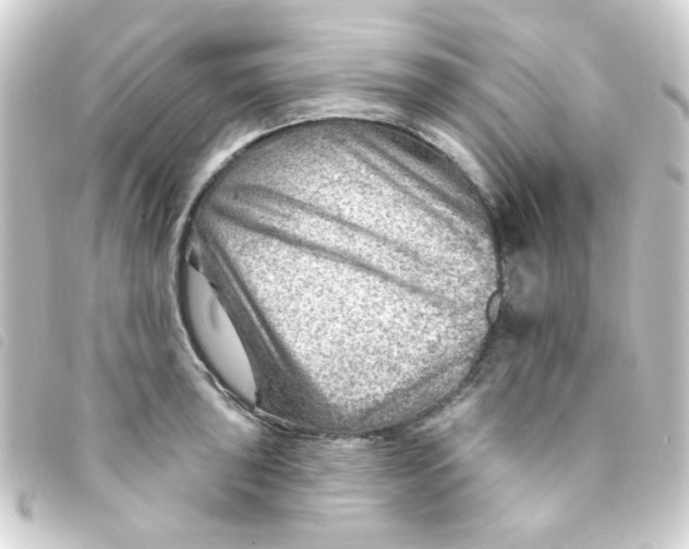 X0000093261043200710241329