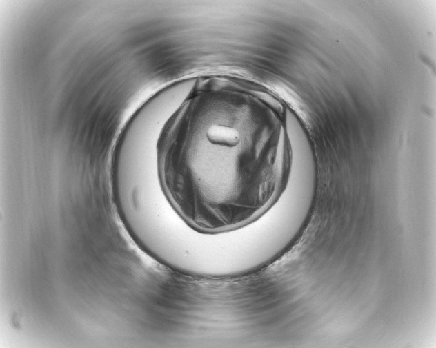 X0000093261046200710241329