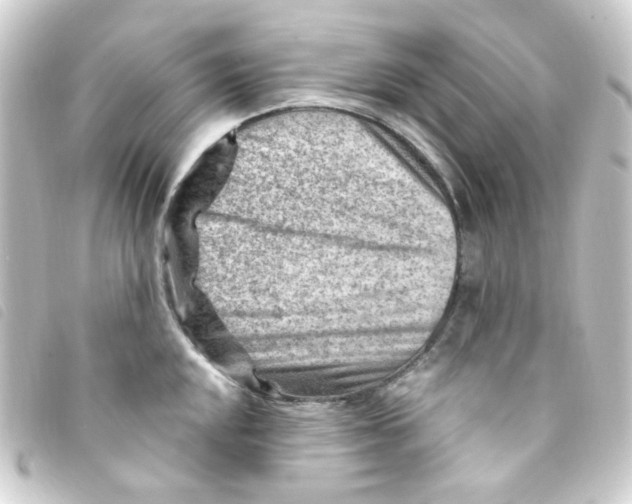X0000093261048200710241329