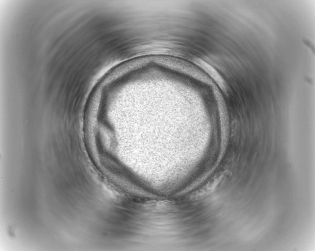 X0000093261051200710241329