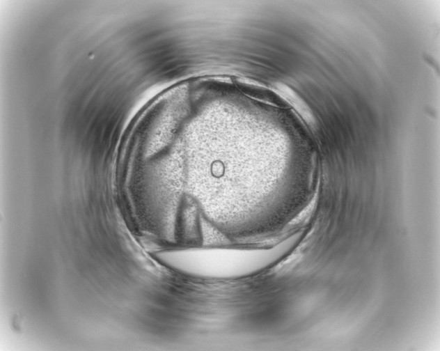 X0000093261052200710241329