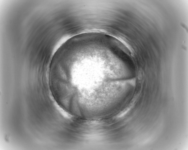 X0000093261054200710241329