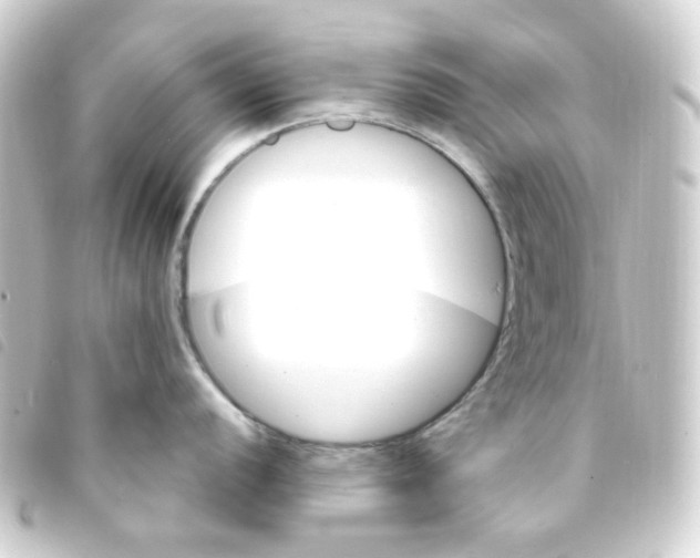 X0000093261056200710241329