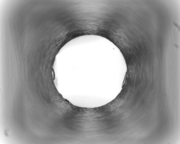 X0000093261057200710241329