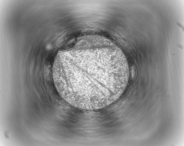 X0000093261059200710241329