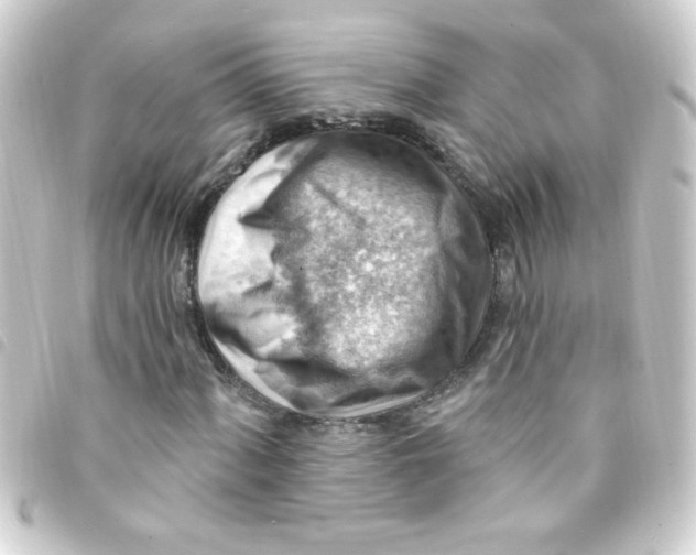 X0000093261060200710241329