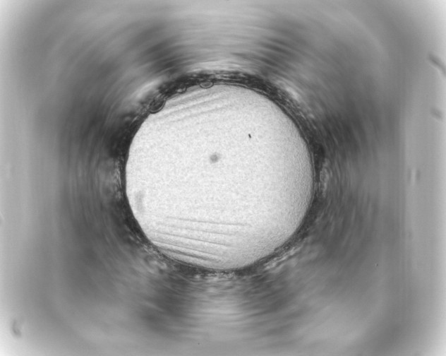 X0000093261062200710241329