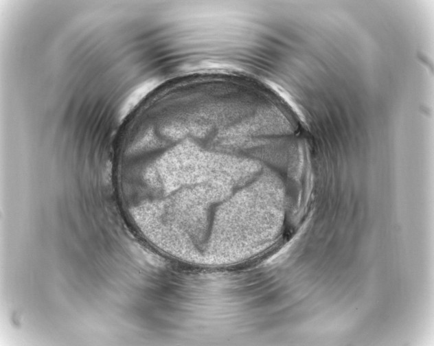 X0000093261066200710241329