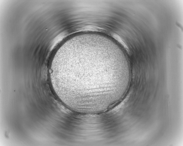 X0000093261067200710241329