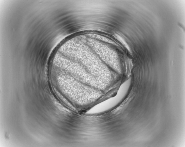 X0000093261068200710241329