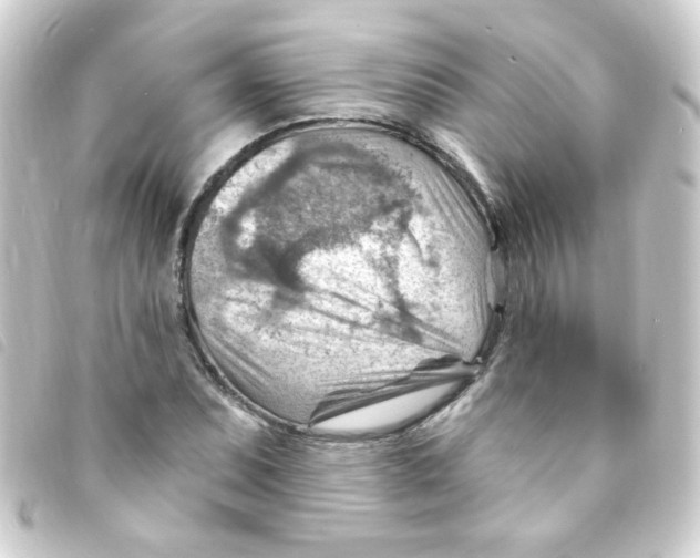 X0000093261071200710241329
