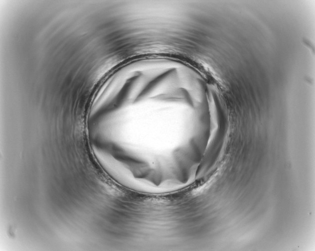 X0000093261073200710241329