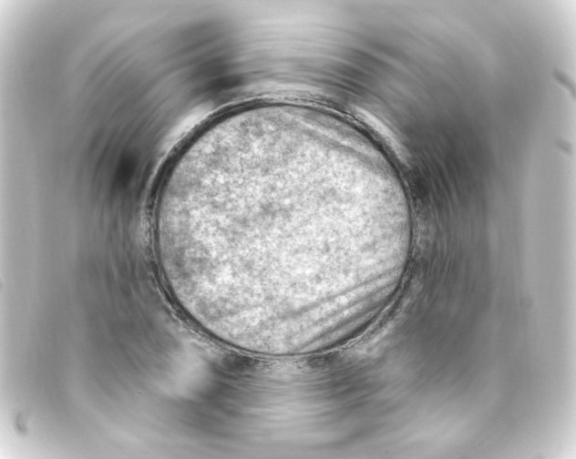 X0000093261074200710241329