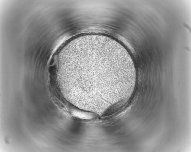 X0000093261075200710241329