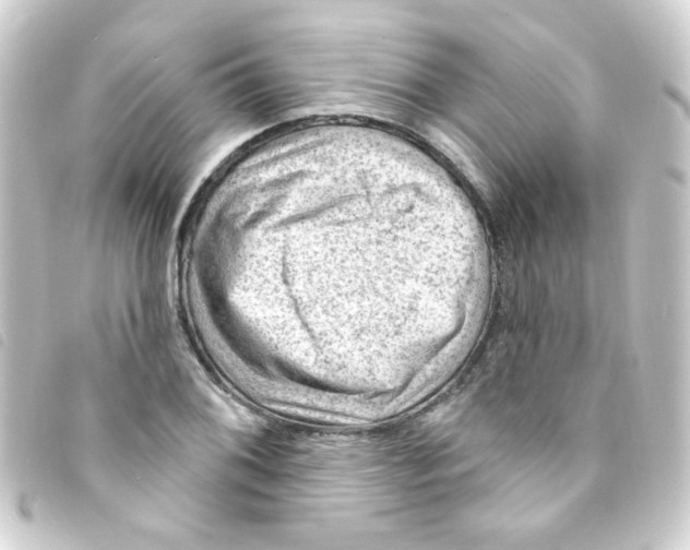 X0000093261076200710241329