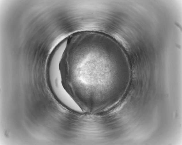 X0000093261077200710241329