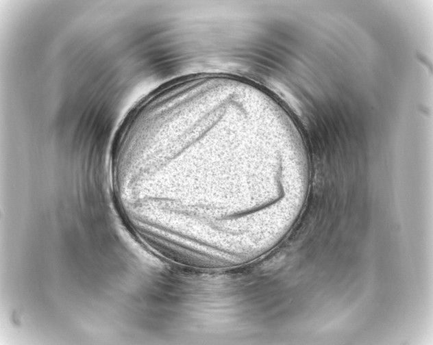X0000093261080200710241328