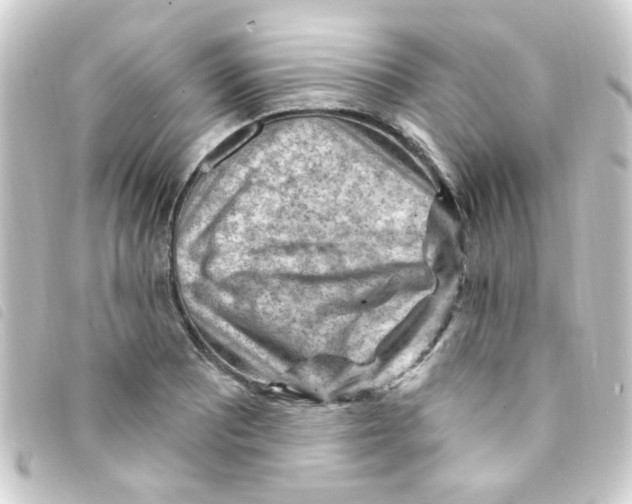 X0000093261081200710241328