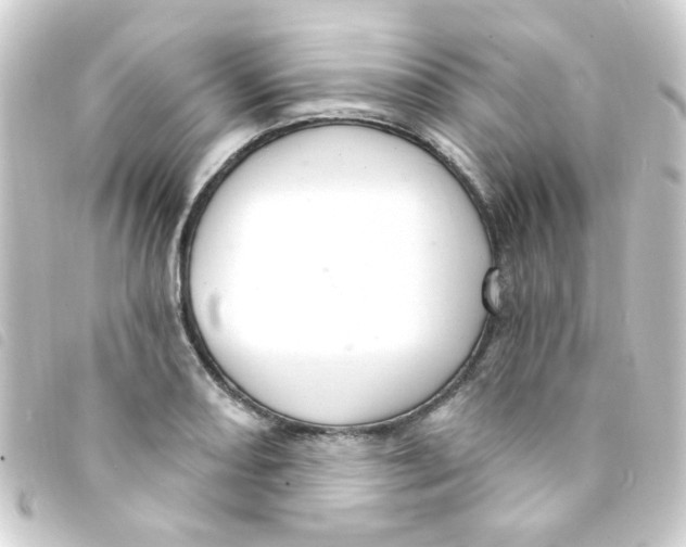 X0000093261082200710241328